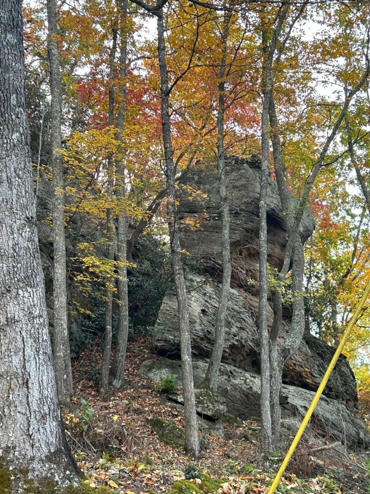 Cherokee Cabin-Cave Run Lake And Cliff Views-Red River Gorge Big Woods Exterior photo