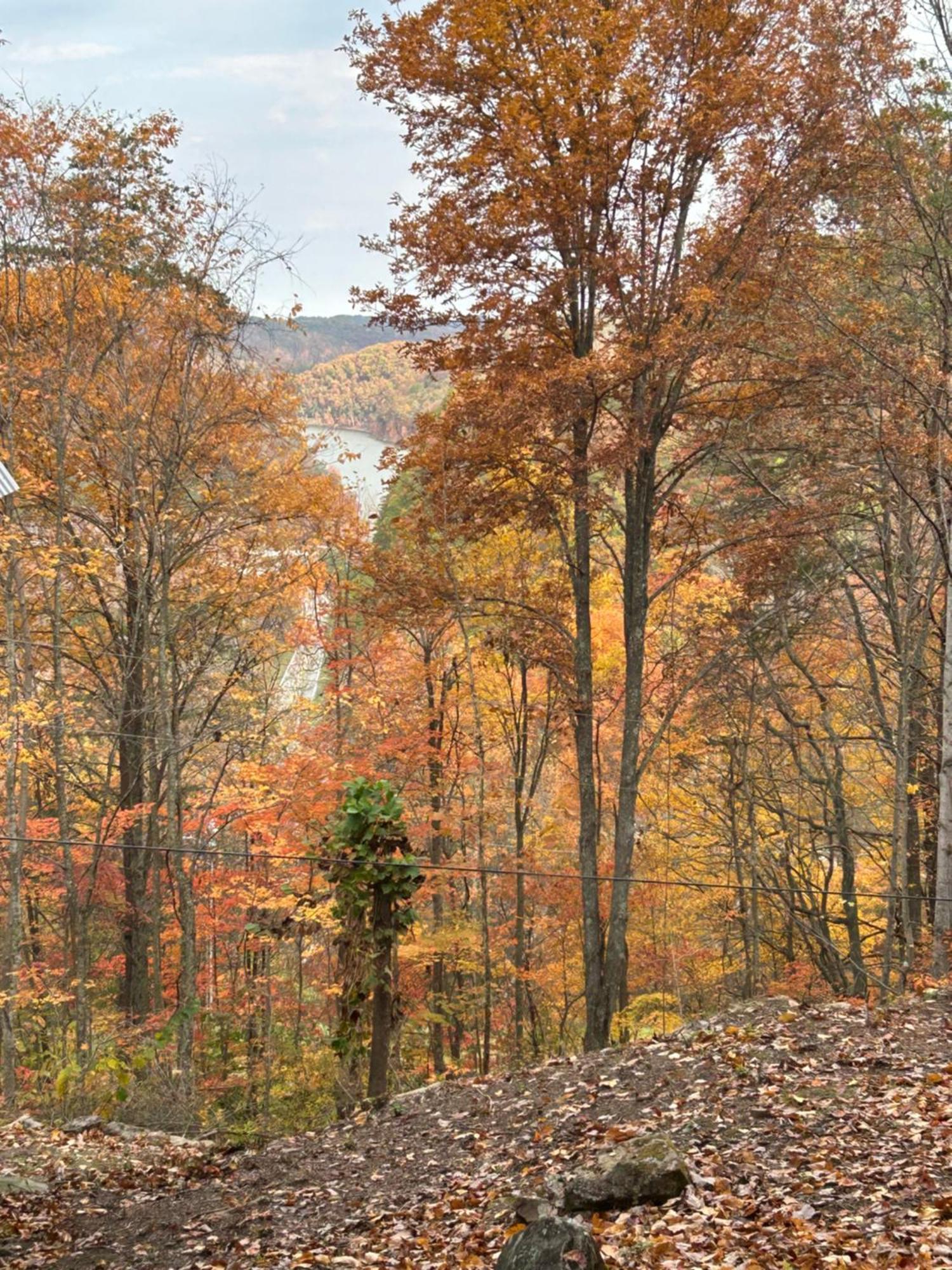 Cherokee Cabin-Cave Run Lake And Cliff Views-Red River Gorge Big Woods Exterior photo